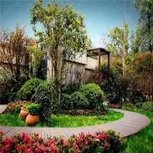 【山東廠區(qū)綠化,工廠綠化設計,工廠綠化栽植技術指導圖片】山東廠區(qū)綠化,工廠綠化設計,工廠綠化栽植技術指導 - 青州市茗茜花卉苗木專業(yè)合作社