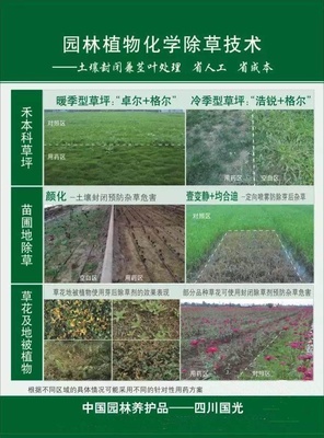 花木商情植保|桂花樹(shù)葉片發(fā)黃的“真相”-桂花紅蜘蛛的發(fā)生與防治